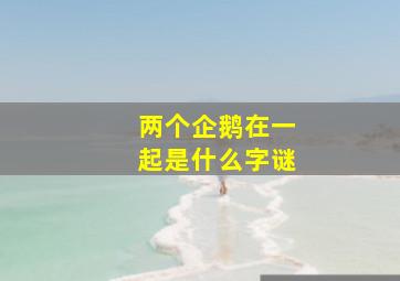 两个企鹅在一起是什么字谜