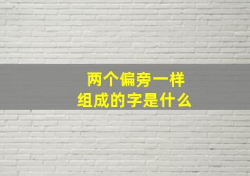 两个偏旁一样组成的字是什么