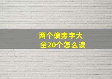 两个偏旁字大全20个怎么读