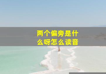 两个偏旁是什么呀怎么读音