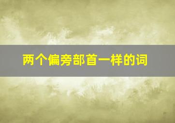 两个偏旁部首一样的词