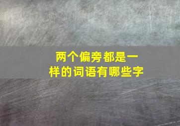 两个偏旁都是一样的词语有哪些字