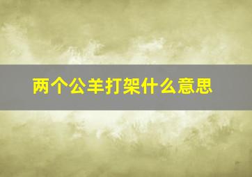 两个公羊打架什么意思