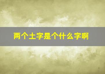 两个土字是个什么字啊