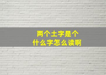 两个土字是个什么字怎么读啊