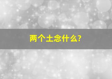 两个土念什么?