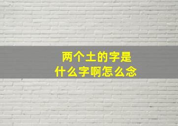 两个土的字是什么字啊怎么念