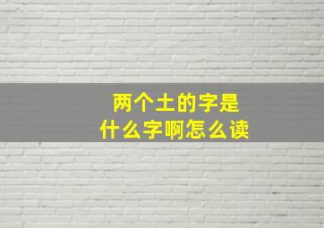 两个土的字是什么字啊怎么读