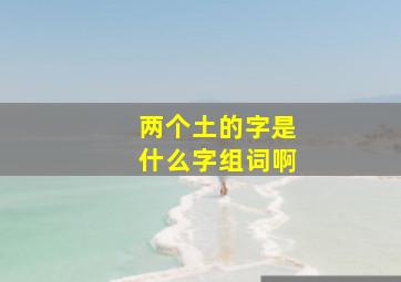 两个土的字是什么字组词啊