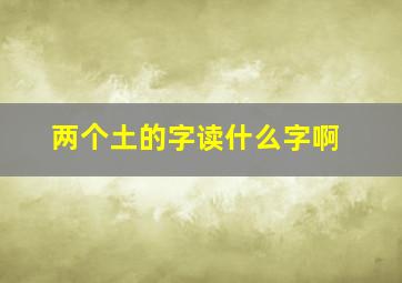 两个土的字读什么字啊