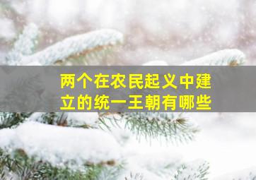 两个在农民起义中建立的统一王朝有哪些