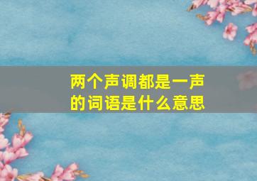 两个声调都是一声的词语是什么意思