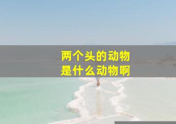 两个头的动物是什么动物啊