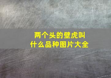 两个头的壁虎叫什么品种图片大全