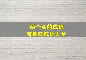 两个头的成语有哪些成语大全