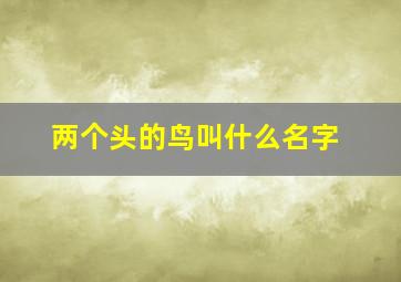 两个头的鸟叫什么名字