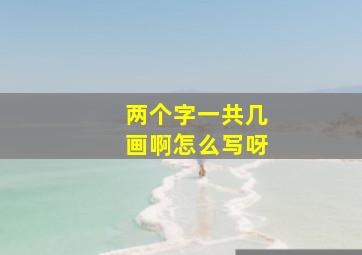 两个字一共几画啊怎么写呀