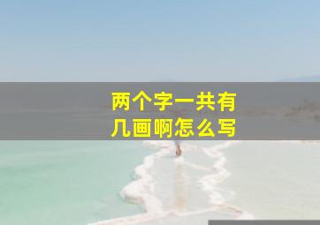 两个字一共有几画啊怎么写