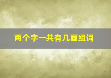 两个字一共有几画组词