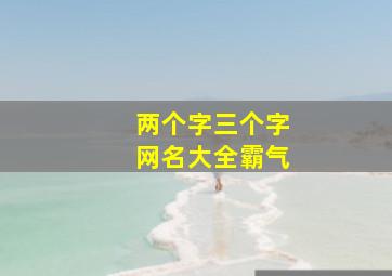 两个字三个字网名大全霸气