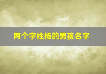 两个字姓杨的男孩名字