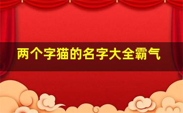 两个字猫的名字大全霸气