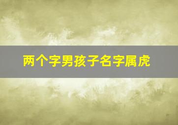 两个字男孩子名字属虎