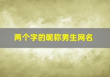 两个字的昵称男生网名