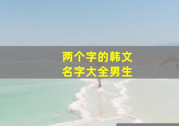 两个字的韩文名字大全男生