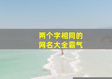 两个字相同的网名大全霸气