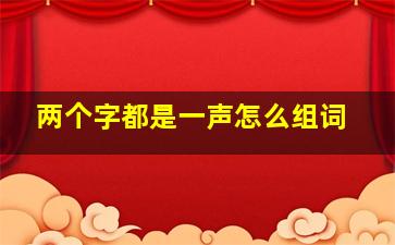 两个字都是一声怎么组词