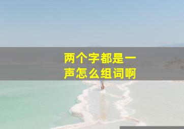 两个字都是一声怎么组词啊