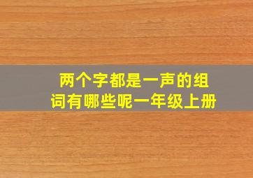 两个字都是一声的组词有哪些呢一年级上册