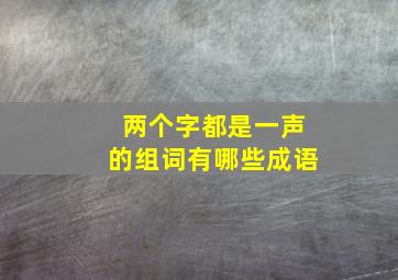 两个字都是一声的组词有哪些成语