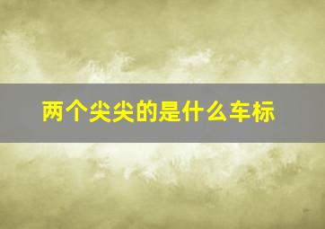 两个尖尖的是什么车标