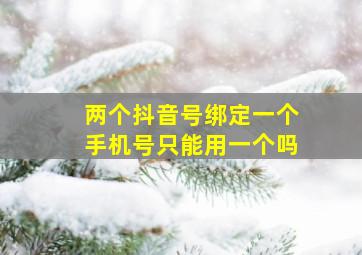 两个抖音号绑定一个手机号只能用一个吗