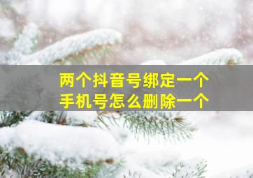 两个抖音号绑定一个手机号怎么删除一个