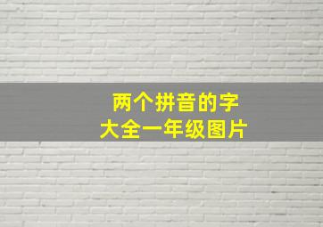 两个拼音的字大全一年级图片