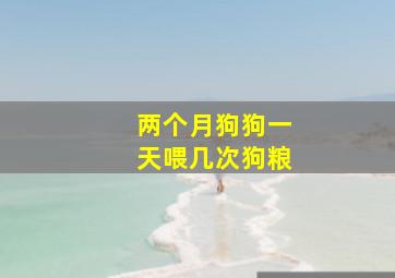 两个月狗狗一天喂几次狗粮