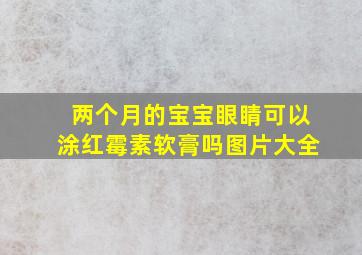 两个月的宝宝眼睛可以涂红霉素软膏吗图片大全