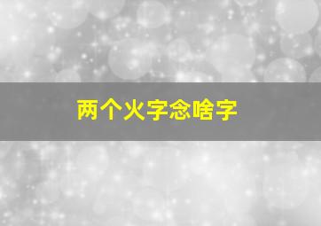 两个火字念啥字