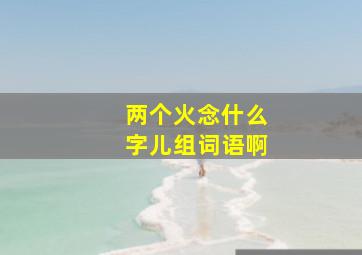 两个火念什么字儿组词语啊