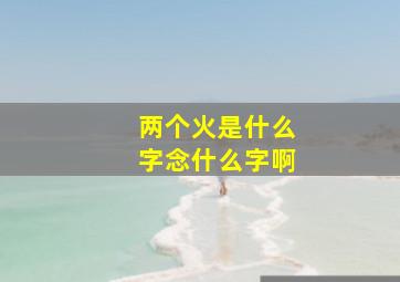 两个火是什么字念什么字啊