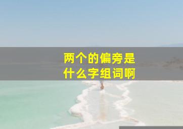 两个的偏旁是什么字组词啊