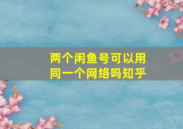 两个闲鱼号可以用同一个网络吗知乎