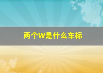 两个W是什么车标