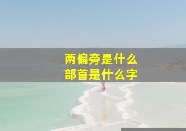 两偏旁是什么部首是什么字