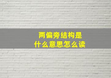 两偏旁结构是什么意思怎么读