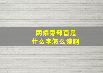 两偏旁部首是什么字怎么读啊