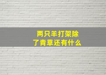 两只羊打架除了青草还有什么